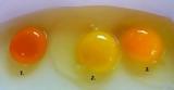 Τι χρώμα πρέπει να έχει ο κρόκος του αυγού,