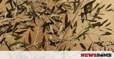 Νεκτάριος Αποσπόρης, Κήπος, Μουσείου,nektarios aposporis, kipos, mouseiou