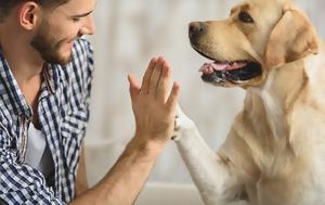 Οι σκύλοι «ορμούν» στον ανθρώπινο… καρκίνο