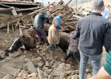 Σεισμός, Τουρκία, 100,seismos, tourkia, 100
