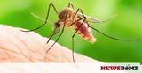 Έτσι θα διώξετε μακριά τα κουνούπια με πράγματα που έχετε στο σπίτι σας! (pics),