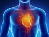 Ο τρόπος ζωής και όχι τα γονίδια υπεύθυνος για τις καρδιαγγειακές νόσους,