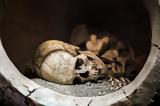 Η ιστορία ενός σκελετού «βαμπίρ» που βρέθηκε με καρφωμένο πόδι,