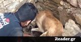 Η αγωνιώδης προσπάθεια σκυλίτσας να σώσει τα κουτάβια της που θάφτηκαν στα ερείπια (vid),
