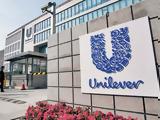 Unilever,2025