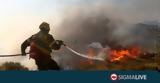 Πυρκαγιά, Μαυροκόλυμπου#45Και,pyrkagia, mavrokolybou#45kai