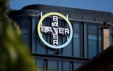 Επένδυση, Bayer Hellas,ependysi, Bayer Hellas