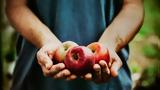 Το «μαγικό» φρούτο που ρίχνει την χοληστερόλη,ρυθμίζει το έντερο και ενισχύει την άμυνα