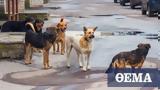 Σκυλιά, Θεσσαλονίκη,skylia, thessaloniki