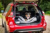 Nissan X-Trail Best Dog-Friendly Car,Year