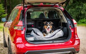 Nissan X-Trail Best Dog-Friendly Car, Year