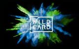 Wild Card-EIT Health, Χρηματοδότηση 2, 2 -up LoF, Pipra,Wild Card-EIT Health, chrimatodotisi 2, 2 -up LoF, Pipra