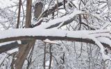 Καιρός Χιόνια Αττική, ΕΜΥ Έκτακτο, 4 Φεβρουαρίου- Πρόγνωση LIVE,kairos chionia attiki, emy ektakto, 4 fevrouariou- prognosi LIVE