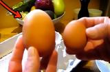 Η κότα τους γέννησε αυτό το τεράστιο αυγό – Δεν φαντάζεστε τι βρήκαν μέσα σε αυτό όταν το έσπασαν  [,