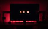Netflix The Big Flower Fight,