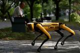Σιγκαπούρη, Σκύλος-ρομπότ,sigkapouri, skylos-robot