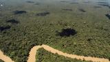 Τα τροπικά δάση μπορεί να απελευθερώνουν άνθρακα με την υπερθέρμανση του πλανήτη,