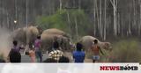 30 ελέφαντες κάνουν επίθεση σε άτυχη γυναίκα! (video),