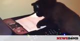 Η πρώτη γάτα στον κόσμο που «κολλάει» ένσημα! (video),