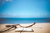 30 βιβλία για να διαλέξεις αυτά που θα πάρεις μαζί σου στην παραλία,