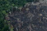 Αργοπεθαίνει, Αμαζονίας – Καταστροφή, 2020,argopethainei, amazonias – katastrofi, 2020