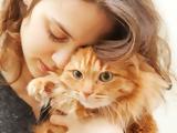 Οι γάτες είναι καταπληκτικοί φίλοι,σύντροφοι και πολύ καλοί θεραπευτές