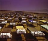 Pink Floyd, 700,A Momentary Lapse, Reason