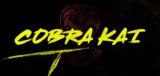 Cobra Kai, Πότε, Netflix – Ανακοινώθηκε,Cobra Kai, pote, Netflix – anakoinothike