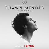 Shawn Mendes,Netflix