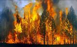 ΕΕ: Το χειρότερο έτος σε δασικές πυρκαγιές,