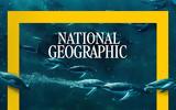 Αφιέρωμα, National Geographic,afieroma, National Geographic