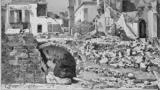 σεισμός, Χίου, Σκότωσε, 3 000, 25 000,seismos, chiou, skotose, 3 000, 25 000