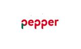 Pepper, Pepper European Servicing, Όμιλο Link,Pepper, Pepper European Servicing, omilo Link