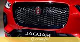 Jaguar,2025