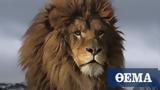 The 8 most unique lions in the world (video),