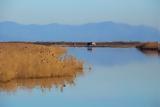 Θεσσαλονίκη, Μνημόνιο, Δέλτα Αξιού,thessaloniki, mnimonio, delta axiou