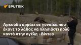Αρκούδα, - Βίντεο,arkouda, - vinteo