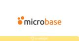 Παροχή, Microbase, Interworks Α Ε,parochi, Microbase, Interworks a e