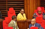 Βουλευτής Τανζανία, Αποβλήθηκε,vouleftis tanzania, apovlithike