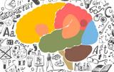 Η έλλειψη μαθηματικής εκπαίδευσης επηρεάζει αρνητικά τον εφηβικό εγκέφαλο,