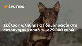 Σκύλος, 29 000,skylos, 29 000