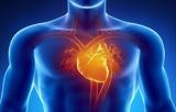 Καθηγητής Καρδιολογίας, Πώς,kathigitis kardiologias, pos