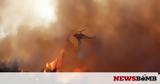 Φωτιές, Ελλάδα, Εκδηλώθηκαν 42, – Πόσες,foties, ellada, ekdilothikan 42, – poses