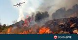 ΕΚΤΑΚΤΟ, Πυρκαγιά, Πάφου#45Στη,ektakto, pyrkagia, pafou#45sti