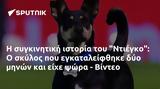 Ντιέγκο, - Βίντεο,ntiegko, - vinteo