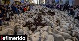 Ισπανία, Πρόβατα, Μαδρίτης -Καθ, [εικόνες],ispania, provata, madritis -kath, [eikones]