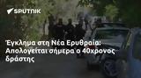 Έγκλημα, Ερυθραία, Απολογείται, 40χρονος,egklima, erythraia, apologeitai, 40chronos