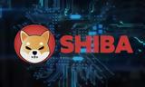 Shiba Inu,