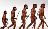 Homo Bodoensis, Ανακαλύφθηκε, – Ζούσε, Αφρική, 500 000,Homo Bodoensis, anakalyfthike, – zouse, afriki, 500 000