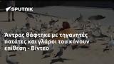 Άντρας, - Βίντεο,antras, - vinteo